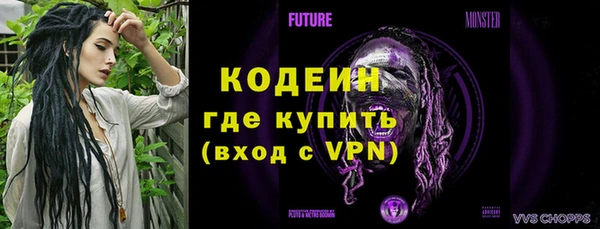 хмурый Нея