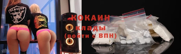 хмурый Нея