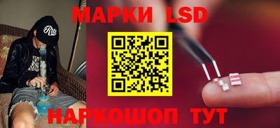 прущие грибы Заводоуковск
