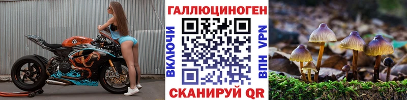 Галлюциногенные грибы Cubensis  как найти   Йошкар-Ола 