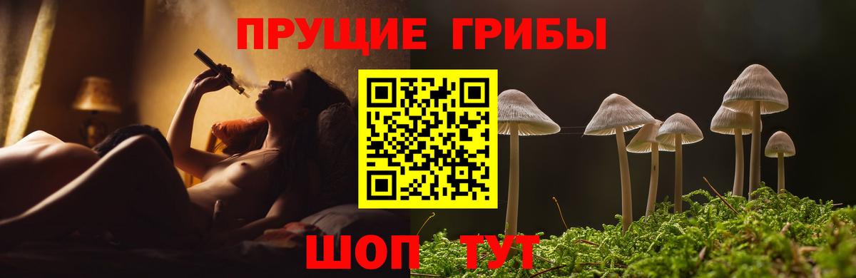 Галлюциногенные грибы мухоморы  Йошкар-Ола  Псилоцибиновые грибы GOLDEN TEACHER 